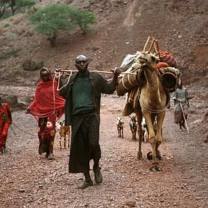 Fotoğraf Marion Hänsel