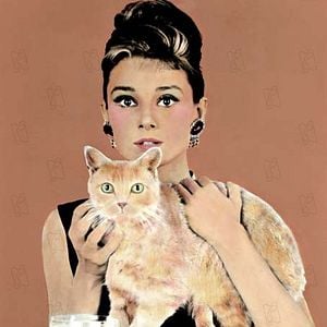 Fotoğraf Blake Edwards