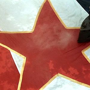 Fotoğraf Emir Kusturica