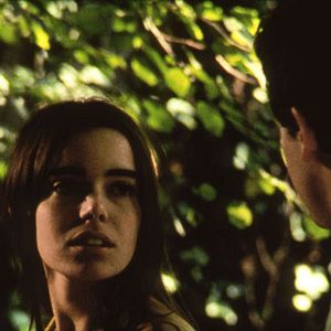 Fotoğraf Wild Reeds