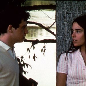 Fotoğraf Wild Reeds