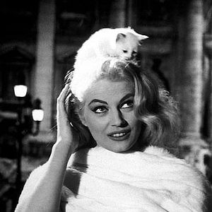 Fotoğraf Tatlı Hayat