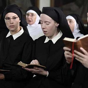 Fotoğraf Cécile de France