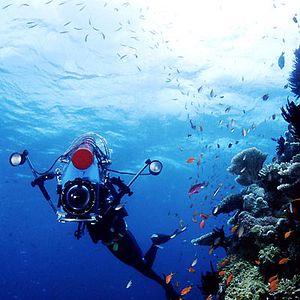 Fotoğraf Rob Stewart