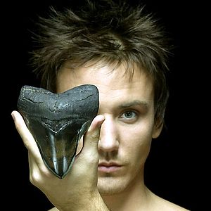 Fotoğraf Rob Stewart