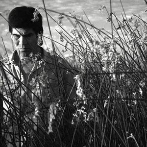 Fotoğraf Jorge Román