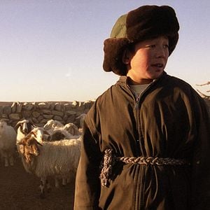 Fotoğraf Quanan Wang