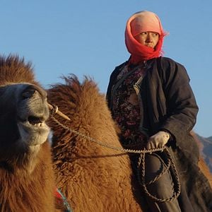 Fotoğraf Quanan Wang