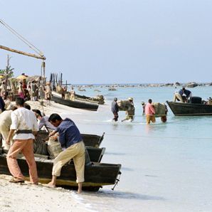 Fotoğraf Tropiques amers