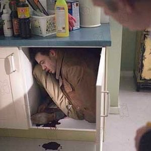 Fotoğraf Alex Van Warmerdam