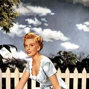 Fotoğraf Deborah Kerr