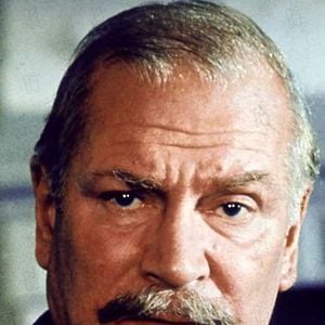 Fotoğraf Savaş Köprüleri