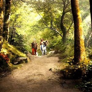 Fotoğraf Frédéric Forestier