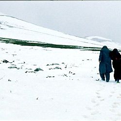 Fotoğraf Bahman Ghobadi