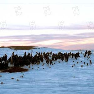 Fotoğraf Bahman Ghobadi