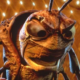 Fotoğraf Bir Böceğin Yaşamı