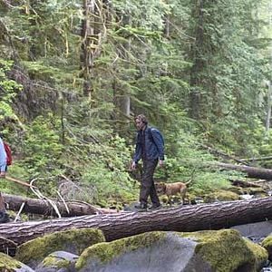 Fotoğraf Daniel London