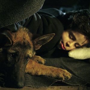 Fotoğraf Danny Lerner