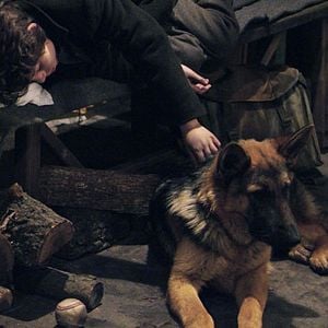 Fotoğraf Danny Lerner