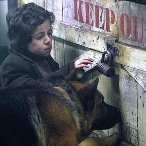 Fotoğraf Danny Lerner