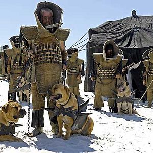 Fotoğraf Daniel Cohen