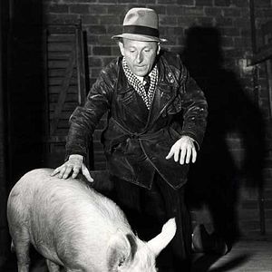 Fotoğraf Bourvil