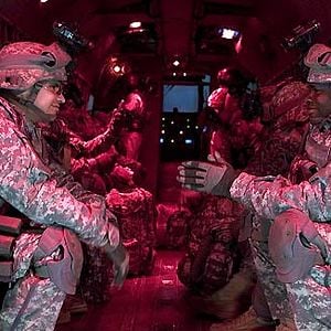 Fotoğraf Arslanı Kuzulara