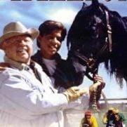 Fotoğraf The Adventures of the Black Stallion