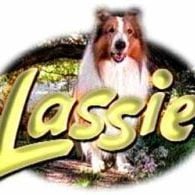Fotoğraf Lassie (1997)