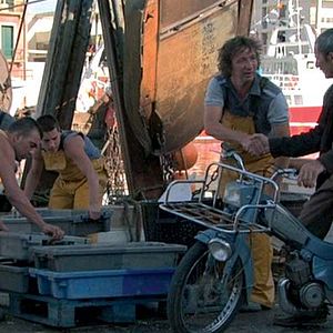 Fotoğraf Graine et le mulet