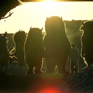 Fotoğraf Arkadaşım Canavar