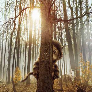 Fotoğraf Spike Jonze