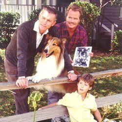 Fotoğraf The New Lassie