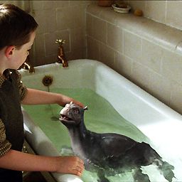 Fotoğraf Jay Russell