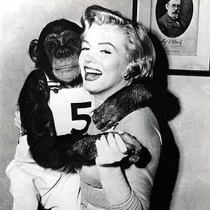 Fotoğraf Marilyn Monroe