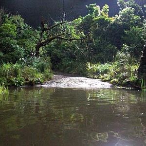 Fotoğraf Hideo Nakata