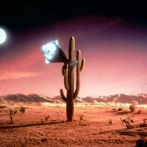 Fotoğraf Emir Kusturica