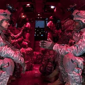 Fotoğraf Arslanı Kuzulara