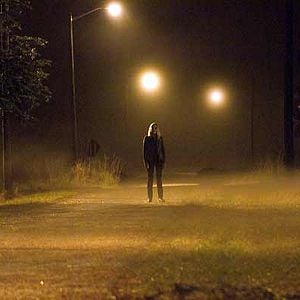 Fotoğraf Ziyaretçiler