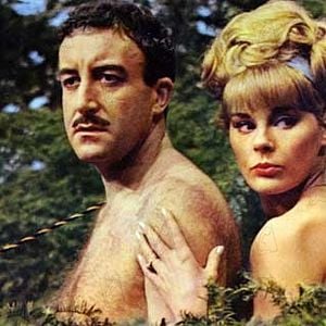 Fotoğraf Shot in the Dark, A