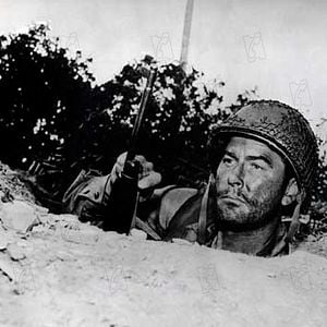 Fotoğraf Raoul Walsh