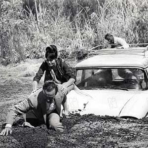 Fotoğraf Leslie Caron