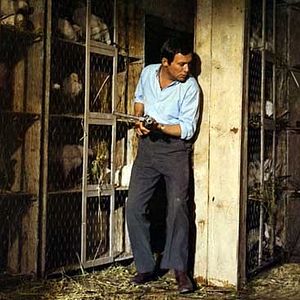 Fotoğraf Claude Chabrol