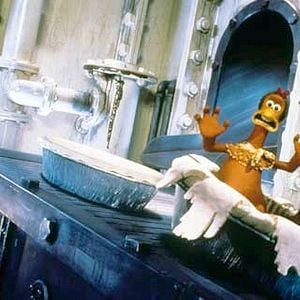 Fotoğraf Tavuklar Firarda