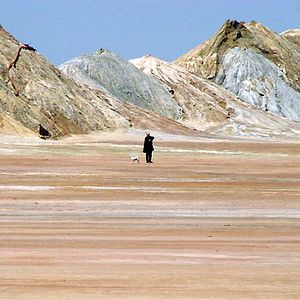 Fotoğraf Michel Houellebecq