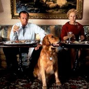 Fotoğraf Glenn Close