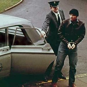 Fotoğraf Guguk Kuşu