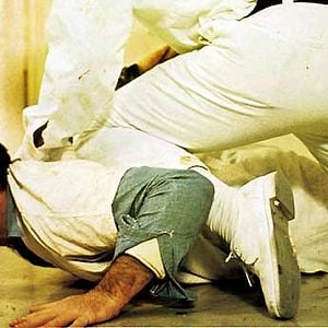 Fotoğraf Guguk Kuşu