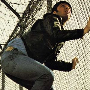 Fotoğraf Guguk Kuşu