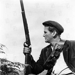 Fotoğraf Rod Taylor